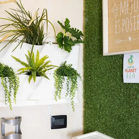 Live Puertito Neptune Дом отдыха